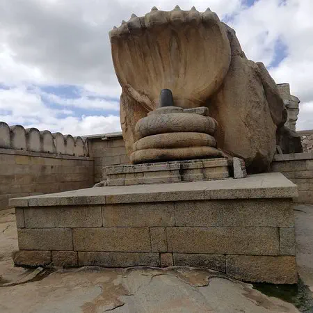 Naga Lingam / Abricô de Macaco